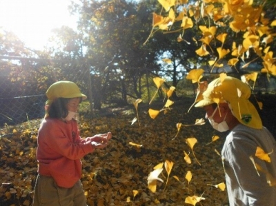 写真：落ち葉集めをする様子