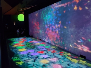 写真：チームラボけんけんぱ