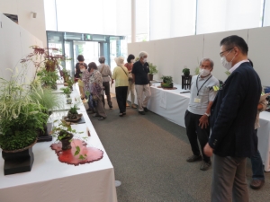 写真：七夕まつり3