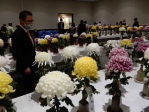 写真:三重秋香会 第100回記念特別競技品評会