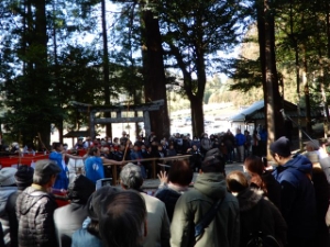 写真:牛蒡(ごんぼ)祭