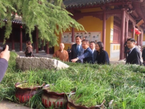 写真：友誼樹視察の様子