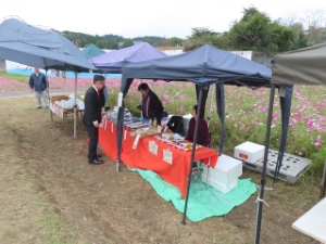 写真：とことめの里一志 コスモス畑 鑑賞2