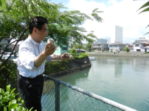 写真：EM団子投げと団子作り