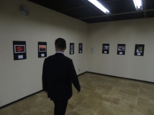 写真：津市民文化祭 写真展 鑑賞