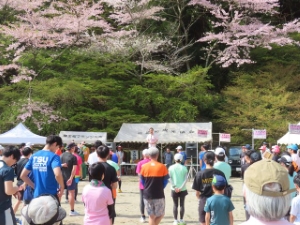 写真:龍王桜マラソン&ウォーキング大会の様子1