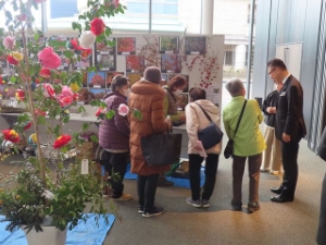 写真:第31回久居公民館まつり 鑑賞の様子