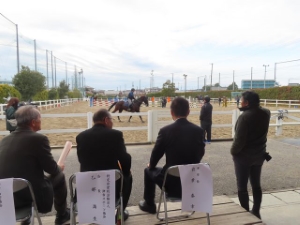 写真:STeP upスクールin津(馬術競技)開講式の様子2