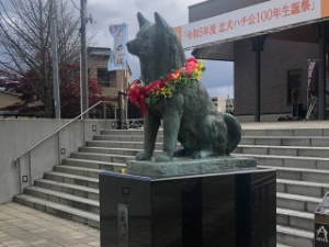 写真：忠犬ハチ公の銅像