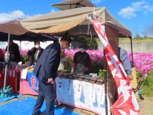 写真:とことめの里一志 コスモス畑 鑑賞