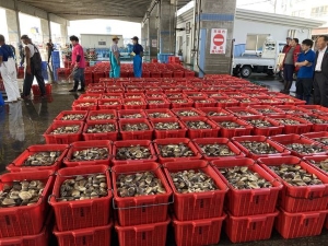 写真：大洗漁港 現地視察2