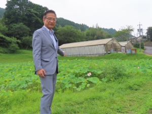 写真：白山町二俣地区の蓮1