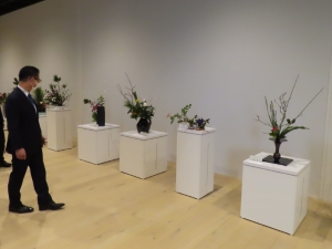 写真:四季の彩り祭り鑑賞