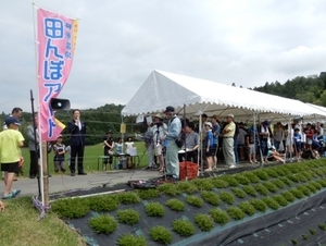写真:田んぼアート2019 田植えイベント