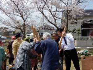 写真：豊が丘アクティブシニア花見会