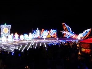 写真：南長野イルミネーションファンタジー2