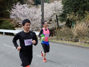 写真:龍王桜マラソン&ウォーキング大会2