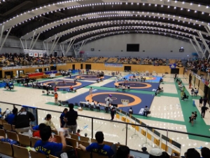 写真:平成30年度ジュニアクイーンズカップ・レスリング選手権大会2