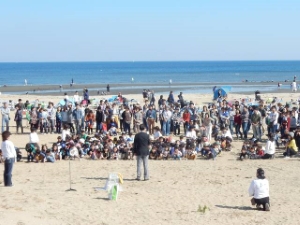 写真:静かな浜辺で秋刀魚を食べる会