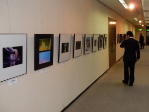 写真：フォトフレンドTsu写真展