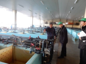 写真：鳥羽市答志島2