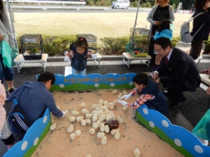 写真:ふれ愛フェスタin白山2