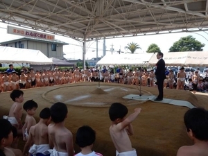 写真:第31回わんぱく相撲津場所