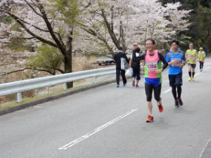 写真:龍王桜マラソン&ウォーキング大会2