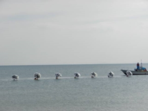 写真:観海流泗水会 寒中水泳大会2