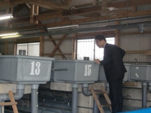 写真：磯崎漁港2