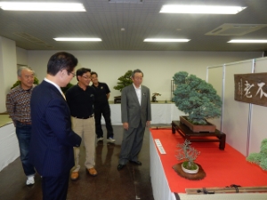 写真：盆栽展示会