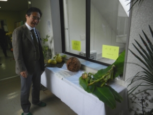 写真：地区文化祭 鑑賞3