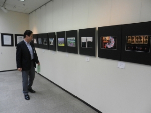 写真：第34回写真集団おちこぼれ写真展 鑑賞