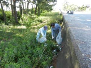 写真:阿漕浦海岸清掃