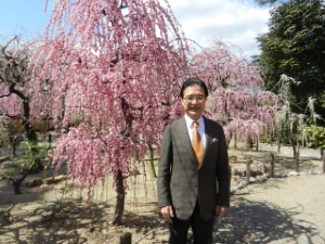 写真：結城神社 梅まつり 観賞