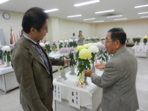 写真：三重秋香会 第93回菊花展 鑑賞