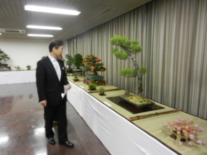 写真：盆栽展示会 鑑賞