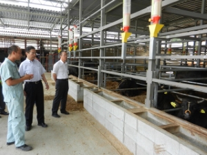 写真:有限会社伊藤牧場 視察2