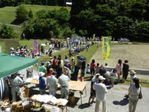 写真：榊原温泉田んぼアート2013