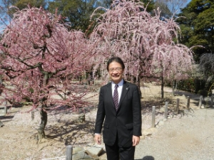 写真：結城神社　梅まつり 鑑賞