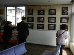 写真：結城さんの梅三人展鑑賞