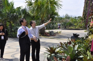 写真：湾岸公園（Gardens by the Bay）を見学1