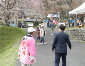 写真：三多気さくらまつり1
