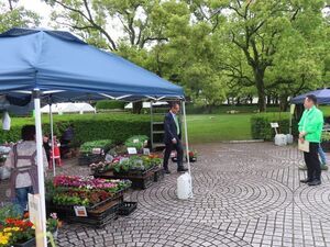 写真:緑と花の市 訪問