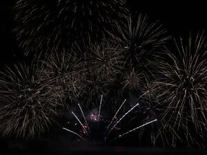 写真:津花火大会4