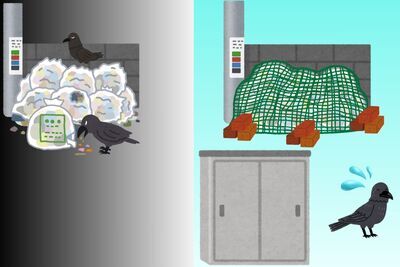 イラスト:ネットや集積庫を利用すると、カラス対策になる