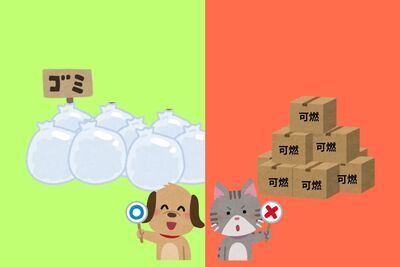 イラスト:透明または半透明の袋に入れて捨てることは正しい、段ボールに入れて捨てることは誤っている