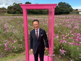 写真：とことめの里一志 コスモス畑 鑑賞