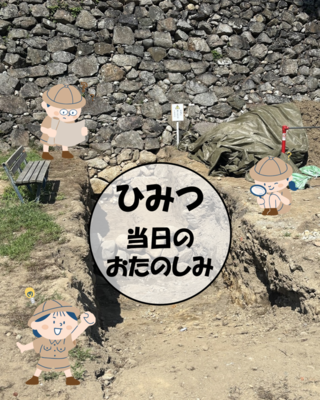 試掘された犬走りの部分が秘密として隠された写真