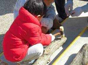 シイタケ菌打ち体験写真1